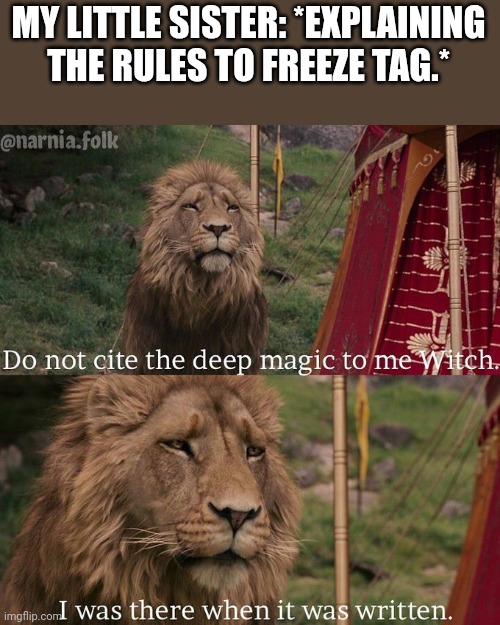 Aaaaahh! | MY LITTLE SISTER: *EXPLAINING THE RULES TO FREEZE TAG.* | image tagged in do not cite the deep magic to me witch | made w/ Imgflip meme maker