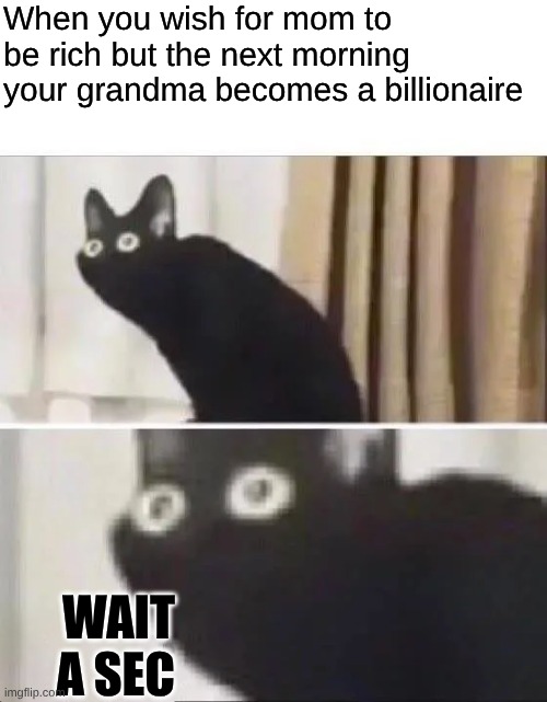 Oh No Black Cat | When you wish for mom to be rich but the next morning your grandma becomes a billionaire; WAIT A SEC | image tagged in oh no black cat | made w/ Imgflip meme maker
