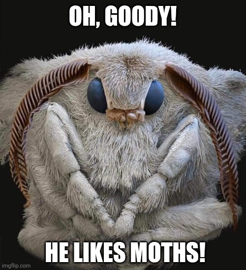 OH, GOODY! HE LIKES MOTHS! | made w/ Imgflip meme maker
