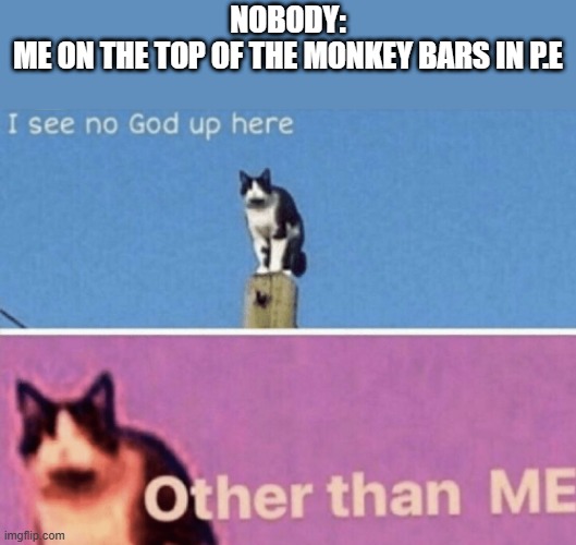 I see no god up here other than me | NOBODY:
ME ON THE TOP OF THE MONKEY BARS IN P.E | image tagged in i see no god up here other than me | made w/ Imgflip meme maker