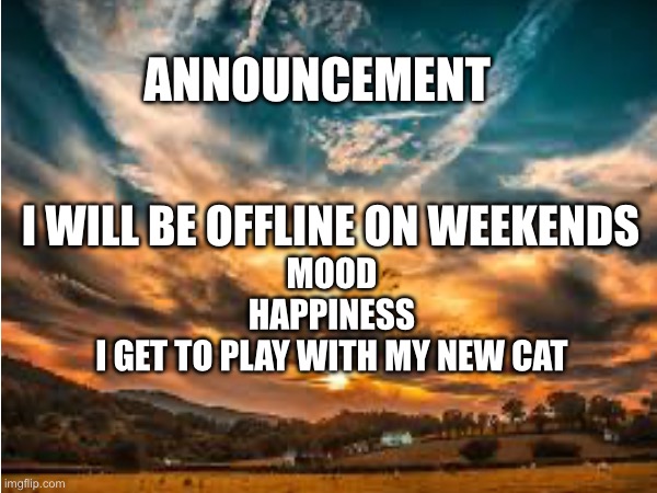 Announcement | ANNOUNCEMENT; I WILL BE OFFLINE ON WEEKENDS; MOOD 
HAPPINESS 
I GET TO PLAY WITH MY NEW CAT | image tagged in cat | made w/ Imgflip meme maker