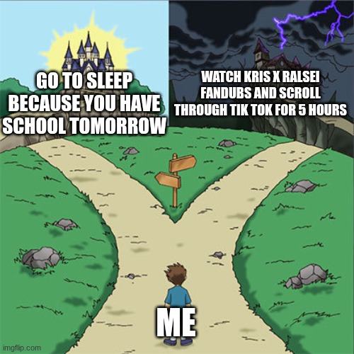 Two Paths | WATCH KRIS X RALSEI FANDUBS AND SCROLL THROUGH TIK TOK FOR 5 HOURS; GO TO SLEEP BECAUSE YOU HAVE SCHOOL TOMORROW; ME | image tagged in two paths | made w/ Imgflip meme maker