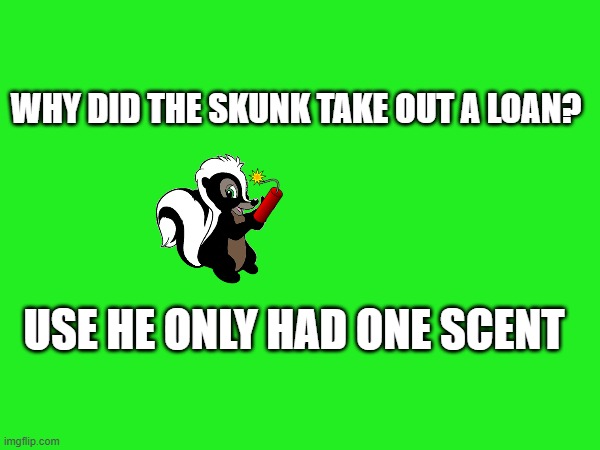 joke skunky | WHY DID THE SKUNK TAKE OUT A LOAN? USE HE ONLY HAD ONE SCENT | image tagged in skunk,jokes,too funny | made w/ Imgflip meme maker