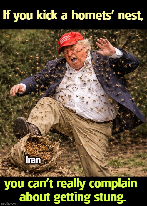 It's the hornets who decide when it's over. | If you kick a hornets' nest, Iran; you can't really complain 
about getting stung. | image tagged in trump,iran,war,choice,hornet | made w/ Imgflip meme maker
