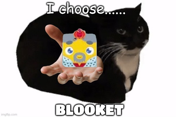 maxwell the cat | I choose...... BLOOKET | image tagged in maxwell the cat | made w/ Imgflip meme maker