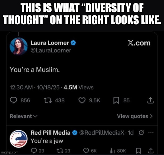 THIS IS WHAT “DIVERSITY OF THOUGHT” ON THE RIGHT LOOKS LIKE. | made w/ Imgflip meme maker