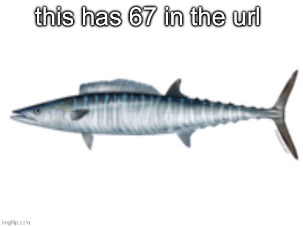 Error: To submit your image you must certify its integrity by ch | this has 67 in the url | image tagged in error to submit your image you must certify its integrity by ch | made w/ Imgflip meme maker