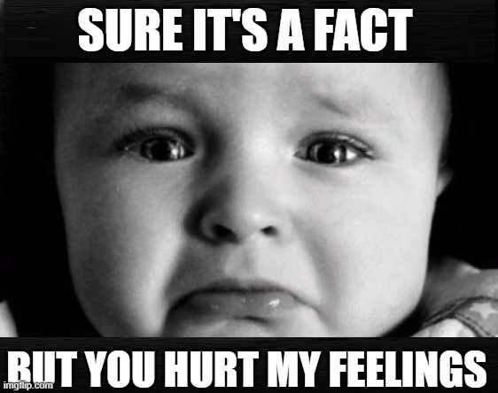 Feelings > Facts | SURE IT'S A FACT; BUT YOU HURT MY FEELINGS | image tagged in baby crying,facts,hurt feelings | made w/ Imgflip meme maker