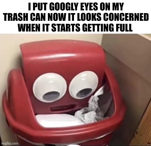 I Put Googly Eyes On My Trash Can | I PUT GOOGLY EYES ON MY TRASH CAN NOW IT LOOKS CONCERNED WHEN IT STARTS GETTING FULL | image tagged in chrisjoines1 | made w/ Imgflip meme maker