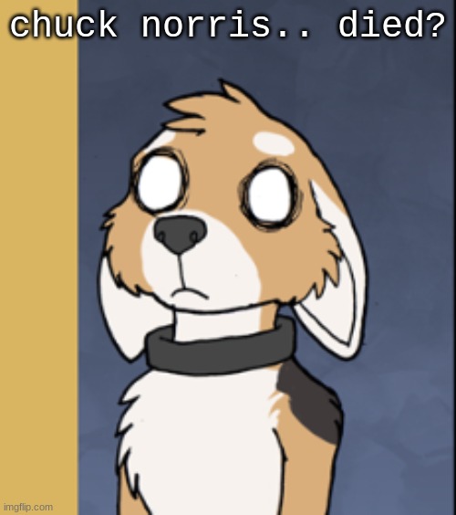 oh my god. | chuck norris.. died? | image tagged in king housepets traumatized | made w/ Imgflip meme maker