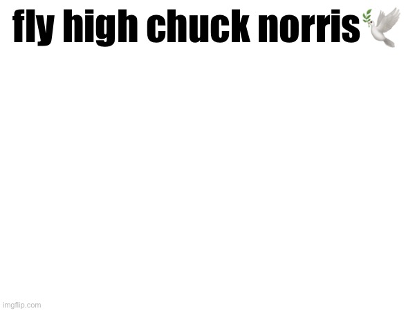 fly high chuck norris🕊️ | made w/ Imgflip meme maker