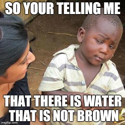 Third World Skeptical Kid | SO YOUR TELLING ME THAT THERE IS WATER THAT IS NOT BROWN | image tagged in memes,third world skeptical kid | made w/ Imgflip meme maker