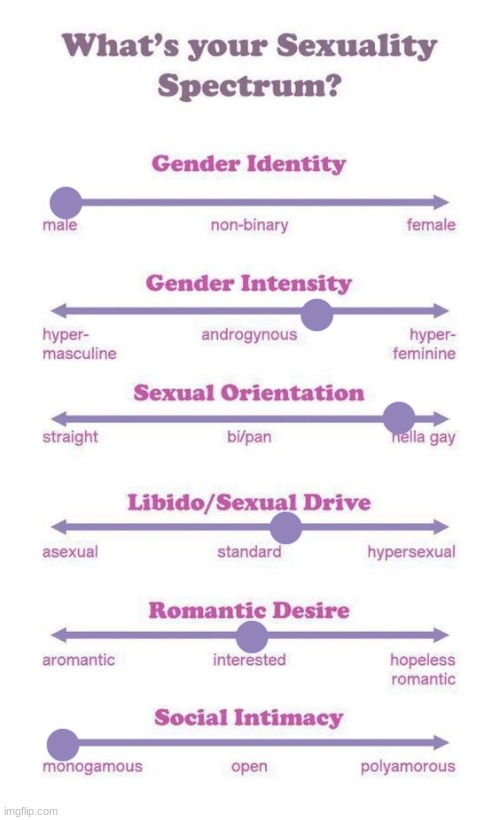 saw this and decided it'd be cool. posted in here maybe twice? | image tagged in what's your sexuality spectrum | made w/ Imgflip meme maker