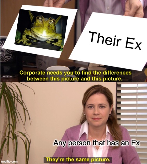They're The Same Picture Meme | Their Ex; Any person that has an Ex | image tagged in memes,they're the same picture | made w/ Imgflip meme maker