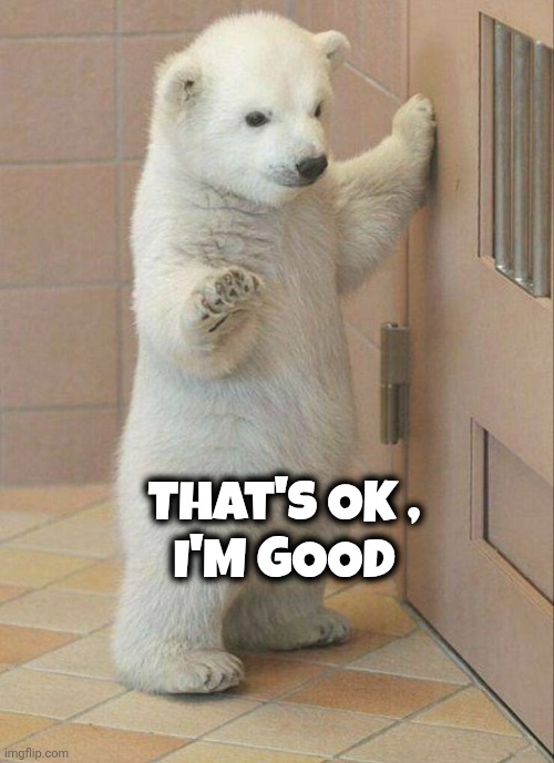 Not now Bear | That's OK ,
I'M GOOD | image tagged in not now bear | made w/ Imgflip meme maker
