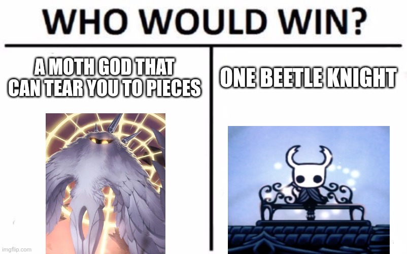 I'm thinking one beetle knight, what about you guys? | A MOTH GOD THAT CAN TEAR YOU TO PIECES; ONE BEETLE KNIGHT | image tagged in memes,who would win,hollow knight,funny | made w/ Imgflip meme maker