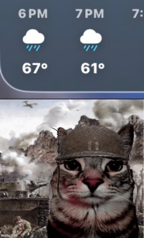 the numbers that shall not be named… | image tagged in thousand yard stare cat,trauma,i hate knitters | made w/ Imgflip meme maker