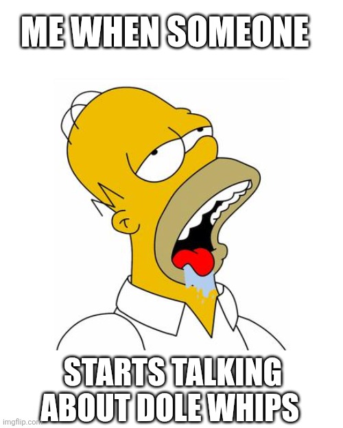 Homer Simpson Drooling | ME WHEN SOMEONE; STARTS TALKING ABOUT DOLE WHIPS | image tagged in homer simpson drooling | made w/ Imgflip meme maker
