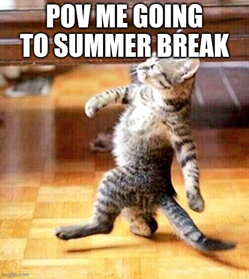 Cat Walking Away | POV ME GOING TO SUMMER BREAK | image tagged in cat walking away | made w/ Imgflip meme maker