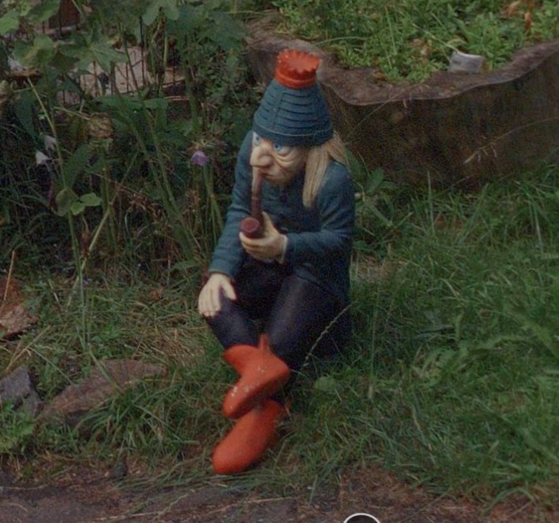 gnome has seen some stuff Blank Meme Template