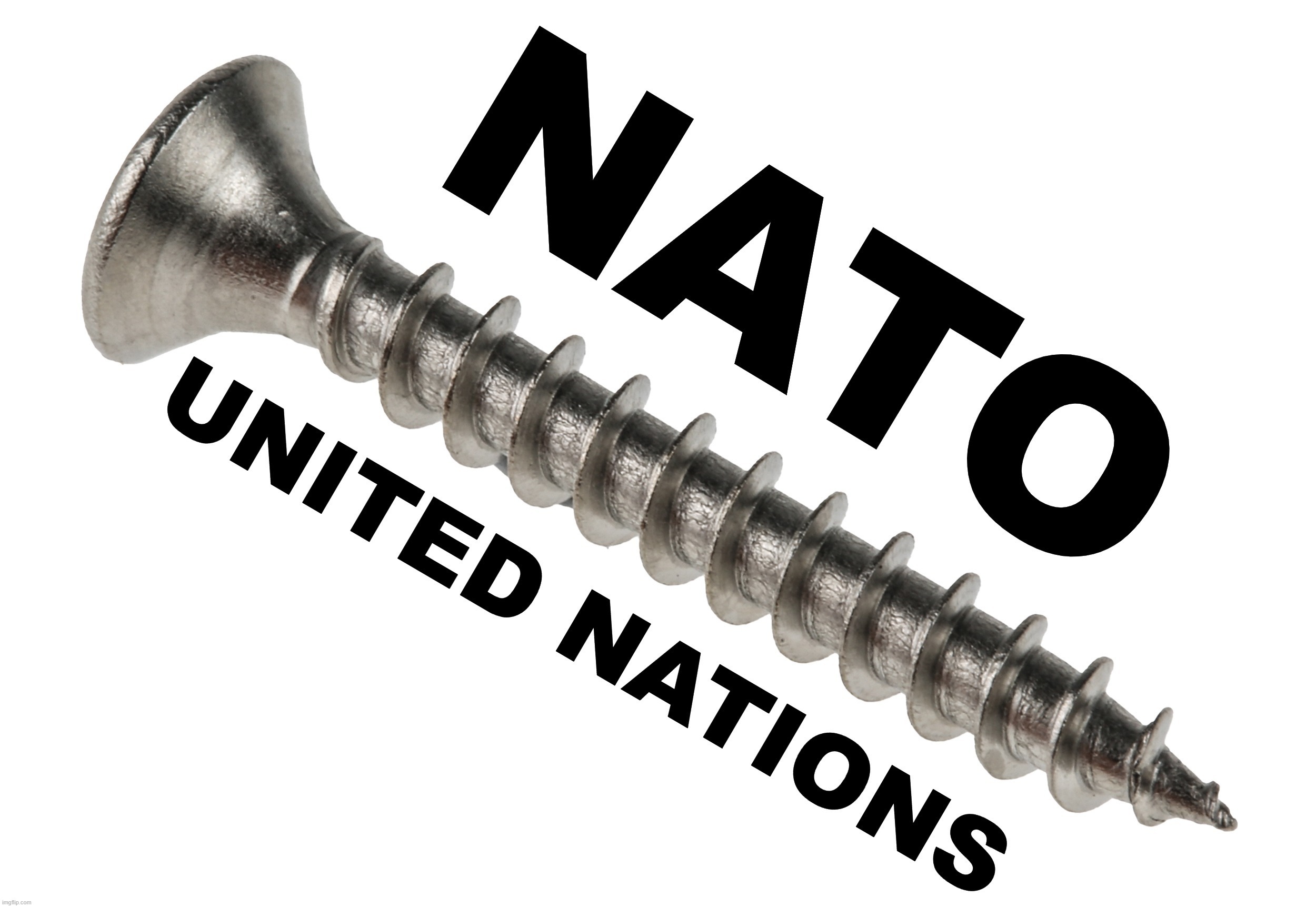 SCREW NATO & SCREW the UNITED NATIONS! | image tagged in screw you,stupid people be like,nato,united nations,european union,radical islam | made w/ Imgflip meme maker