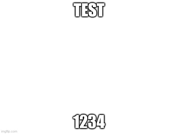 TEST; 1234 | made w/ Imgflip meme maker