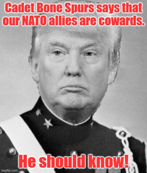 Bone Spurs is Code for Cowardice. | Cadet Bone Spurs says that our NATO allies are cowards. He should know! | image tagged in cadet bone spurs,trump,donald trump | made w/ Imgflip meme maker