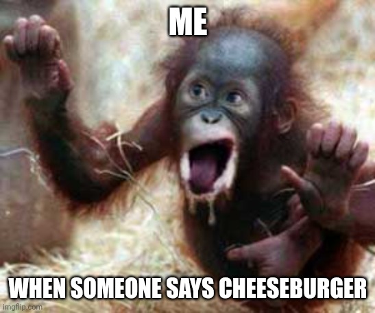 Yummy | ME; WHEN SOMEONE SAYS CHEESEBURGER | image tagged in window licker monkey,cheeseburger,hungry | made w/ Imgflip meme maker