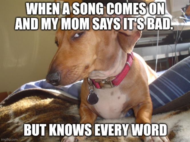 image tagged in music | made w/ Imgflip meme maker