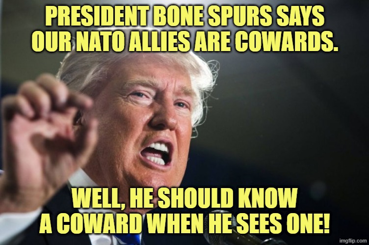 Bone Spurs is Code for Cowardice. | PRESIDENT BONE SPURS SAYS OUR NATO ALLIES ARE COWARDS. WELL, HE SHOULD KNOW A COWARD WHEN HE SEES ONE! | image tagged in donald trump,trump,politics,dankmemes,funny,donald trump approves | made w/ Imgflip meme maker