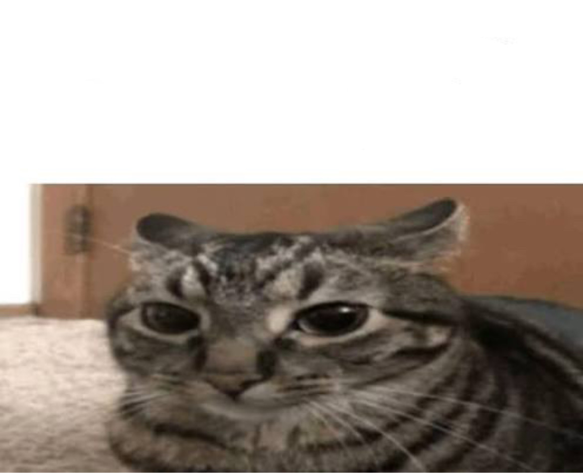 No to mamy kurcze Blank Meme Template