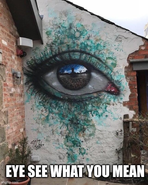 EYE SEE WHAT YOU MEAN | made w/ Imgflip meme maker