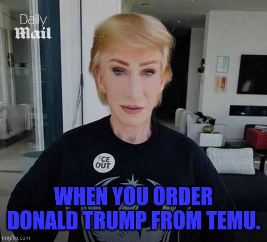 Temu Trump | WHEN YOU ORDER DONALD TRUMP FROM TEMU. | image tagged in kathy griffin,temu | made w/ Imgflip meme maker