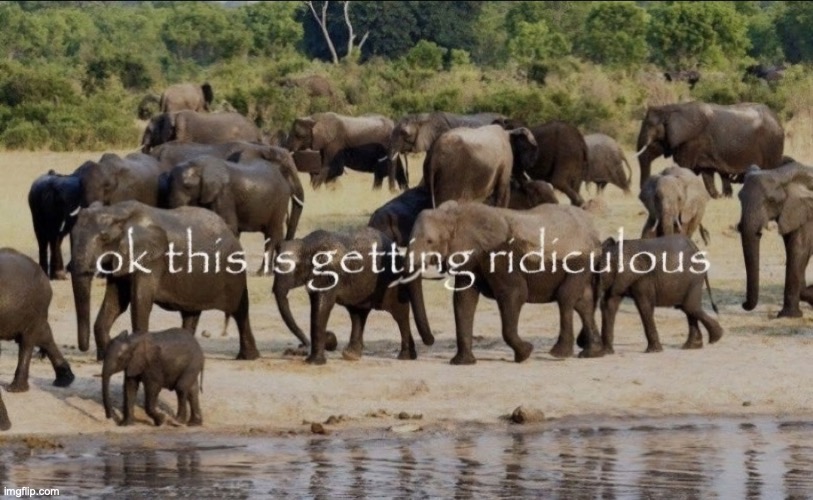 ok this is getting ridiculous | image tagged in ok this is getting ridiculous | made w/ Imgflip meme maker