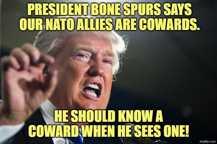 donald trump | PRESIDENT BONE SPURS SAYS OUR NATO ALLIES ARE COWARDS. HE SHOULD KNOW A COWARD WHEN HE SEES ONE! | image tagged in donald trump | made w/ Imgflip meme maker