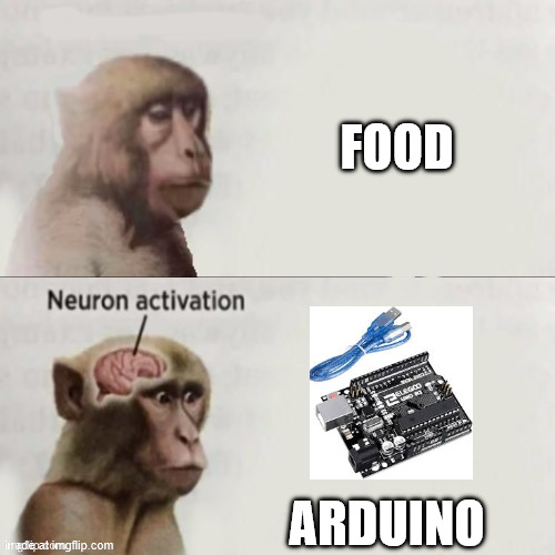 (: | FOOD; ARDUINO | image tagged in monkey neuron activate | made w/ Imgflip meme maker