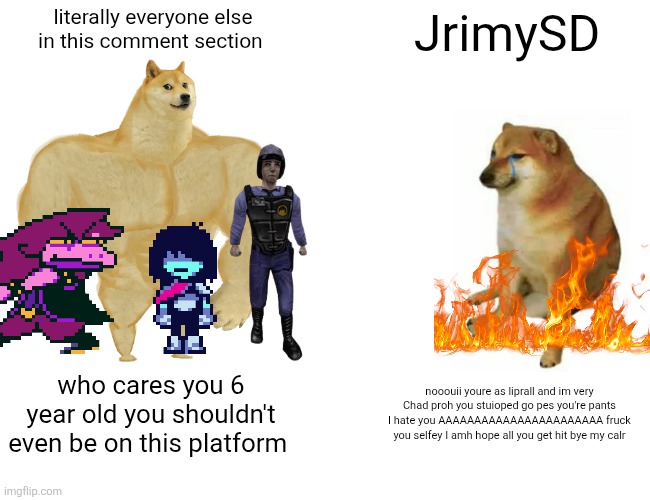 literally everyone else in this comment section JrimySD who cares you 6 year old you shouldn't even be on this platform nooouii youre as lip | image tagged in memes,buff doge vs cheems | made w/ Imgflip meme maker