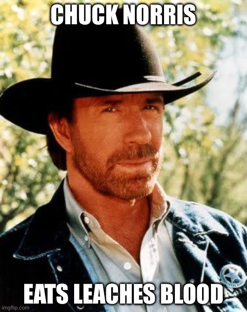 Chuck Norris Meme | CHUCK NORRIS; EATS LEACHES BLOOD | image tagged in memes,chuck norris | made w/ Imgflip meme maker