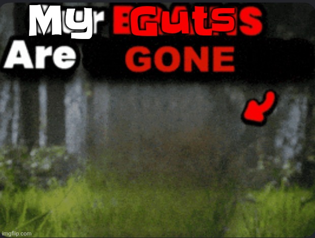 Our brains are GONE | My Guts | image tagged in our brains are gone | made w/ Imgflip meme maker