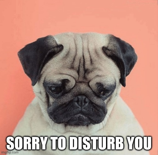 Sorry to hear | SORRY TO DISTURB YOU | image tagged in sorry to hear | made w/ Imgflip meme maker