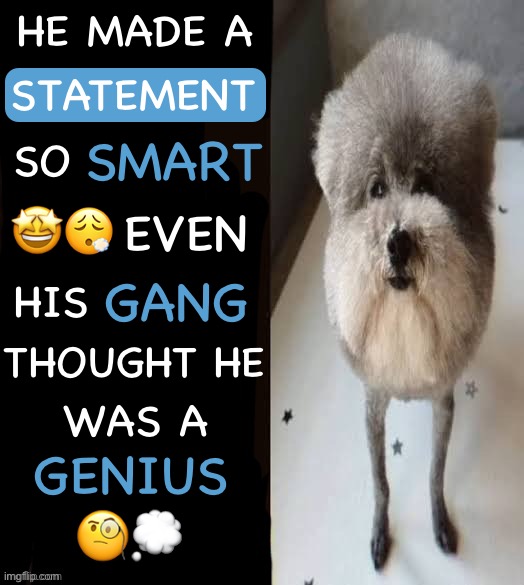 made a new reaction template | HE MADE A; STATEMENT; SMART; SO; 🤩😮‍💨; EVEN; GANG; HIS; THOUGHT HE; WAS A; GENIUS; 🧐💭 | image tagged in he made a statement blank,msmg | made w/ Imgflip meme maker