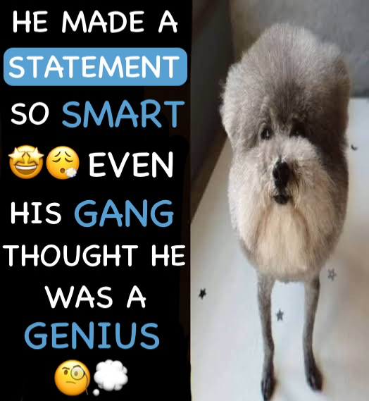 He made a statement so smart even his gang thought genius Blank Meme Template