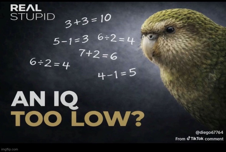 An IQ too low | image tagged in an iq too low | made w/ Imgflip meme maker