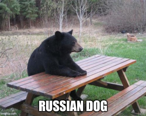Bad Luck Bear Meme | russian dog | image tagged in memes,bad luck bear | made w/ Imgflip meme maker