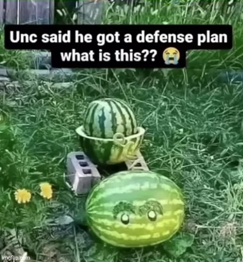 image tagged in msmg | made w/ Imgflip meme maker