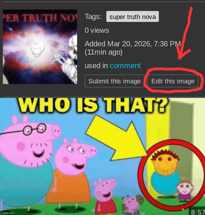 image tagged in who is that | made w/ Imgflip meme maker