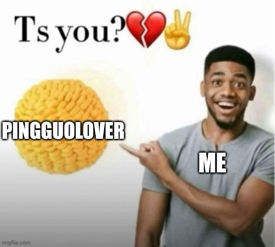 ts you? | Pingguolover Me | image tagged in ts you | made w/ Imgflip meme maker