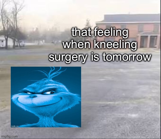 blue grinch | that feeling when kneeling surgery is tomorrow | image tagged in blank sybau | made w/ Imgflip meme maker
