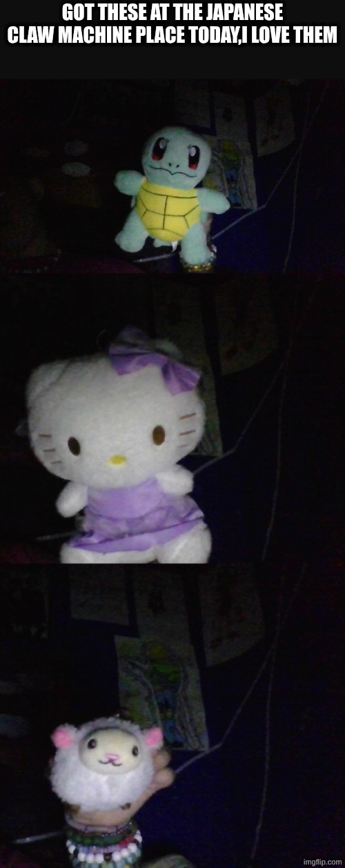 got these at the Japanese claw machine place today,I love them | made w/ Imgflip meme maker