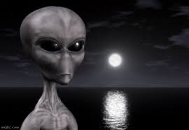 ayy lmao | image tagged in ayy lmao | made w/ Imgflip meme maker